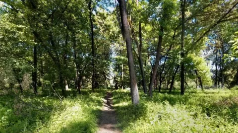 Bozdosh Park