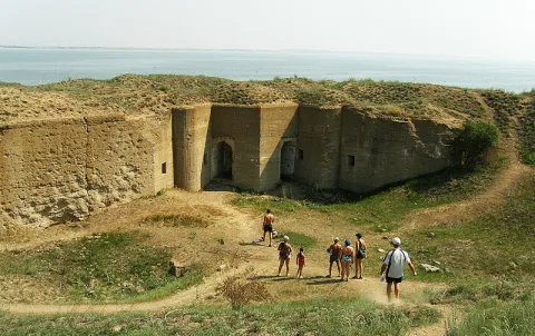 Березань (острів)