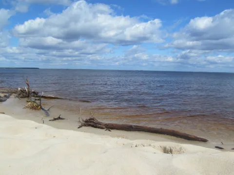 Дніпровсько-Тетерівський заповідник
