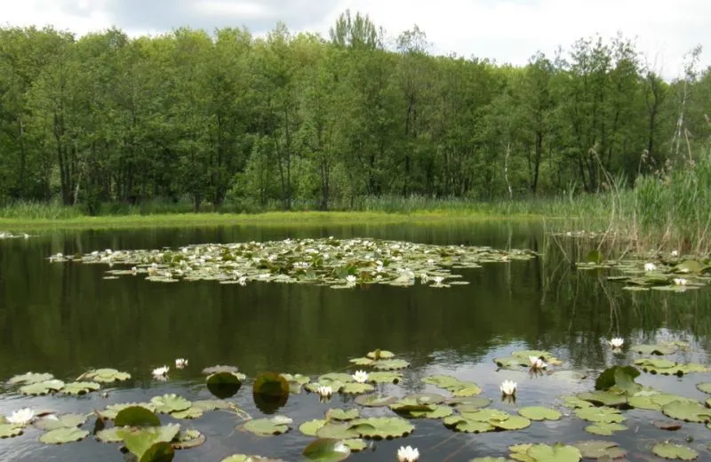 Ічнянський національний природний парк