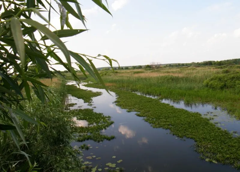 Ічнянський національний природний парк