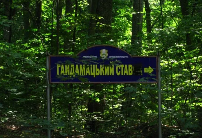 Гайдамацький став, Мельники