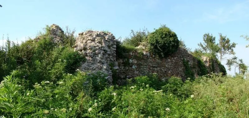 Mint Castle