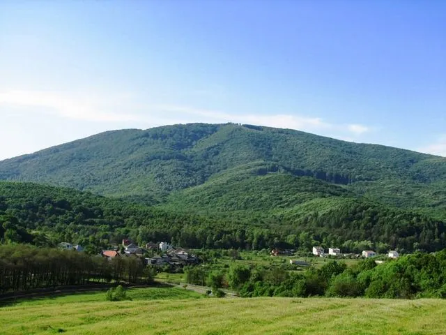 Заказник «Чорна Гора», Виноградів