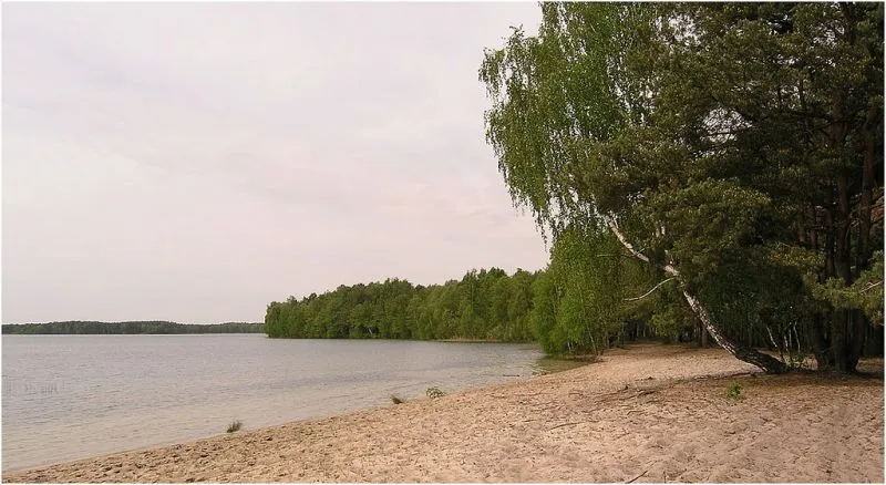 Шацькі озера