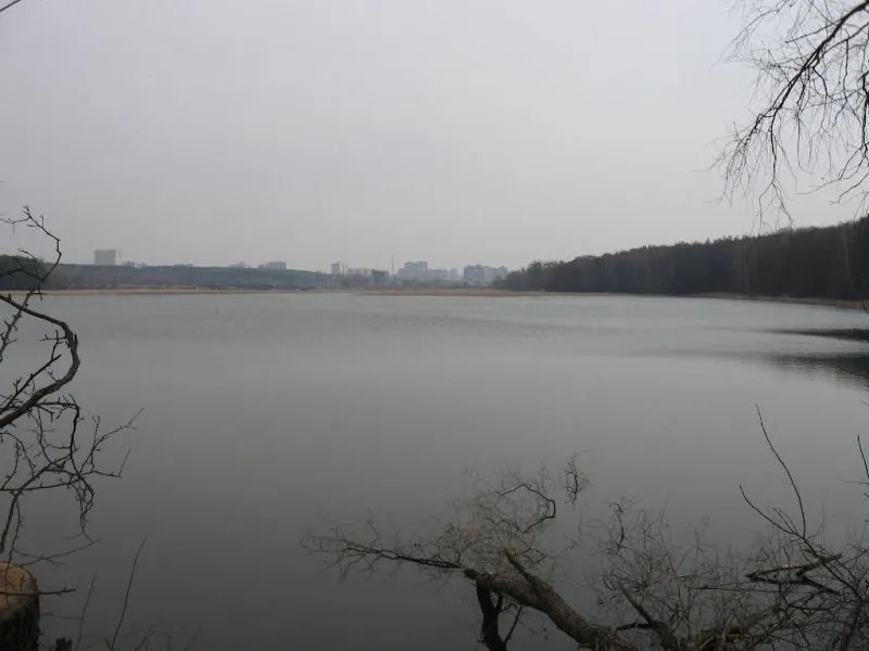 Святошинські ставки, Київ