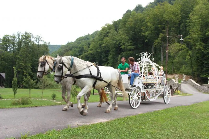 Парк графа Шенборна, Тур'я Пасіка