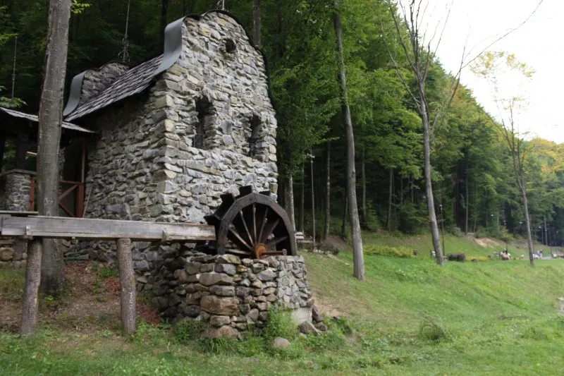 Парк графа Шенборна, Тур'я Пасіка
