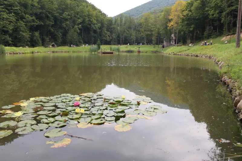 Парк графа Шенборна, Тур'я Пасіка