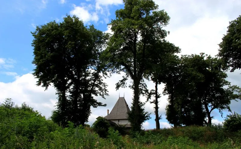 Галицький замок, Галич