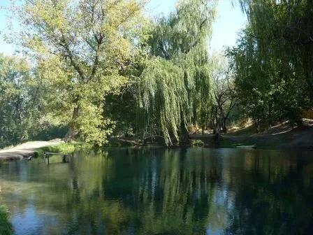 Healing springs, patience
