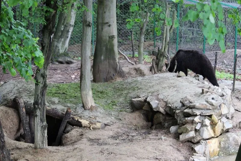 Галицький національний природний парк