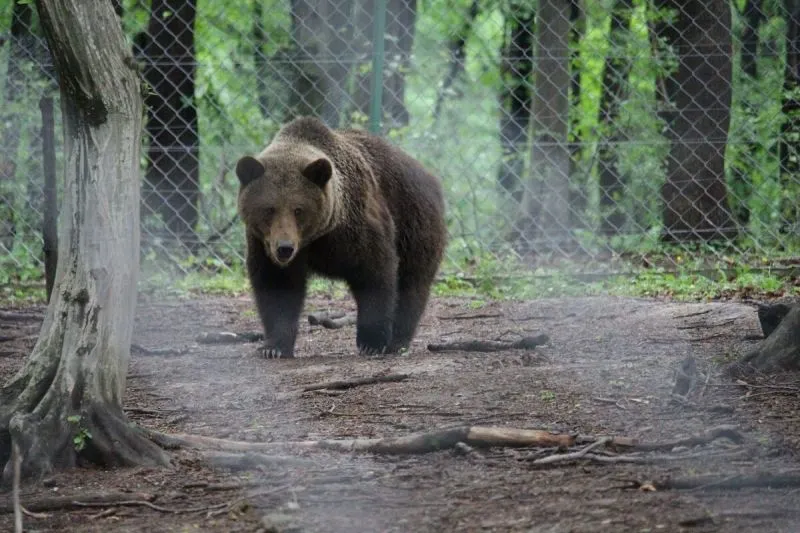 Галицький національний природний парк