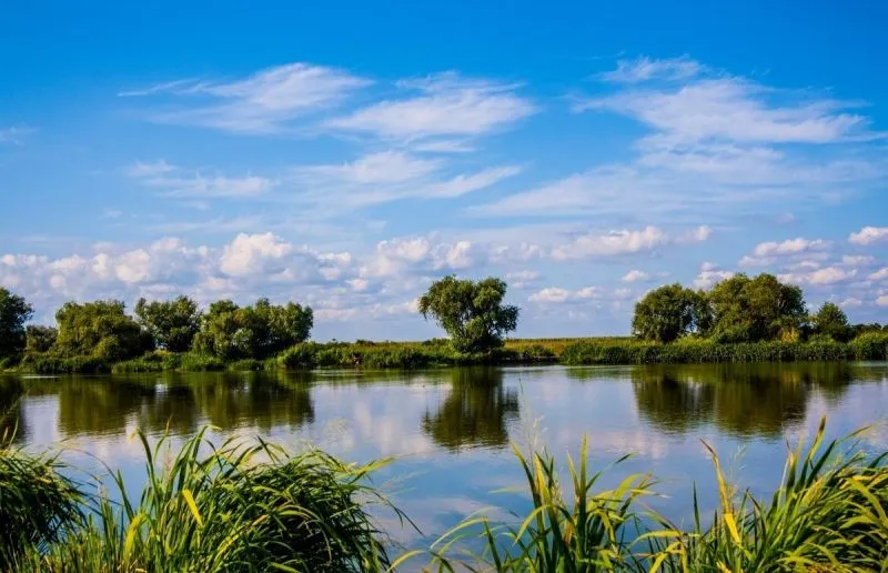 Нижньодністровський національний природний парк