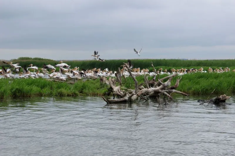 Нижньодністровський національний природний парк