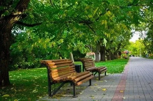 Парк імені Лесі Українки, Луцьк