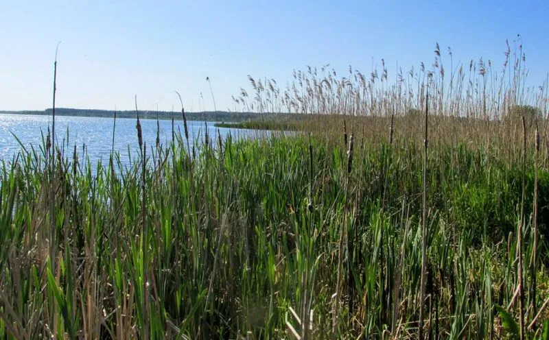 Національний природний парк «Дермансько-Острозький», Острог