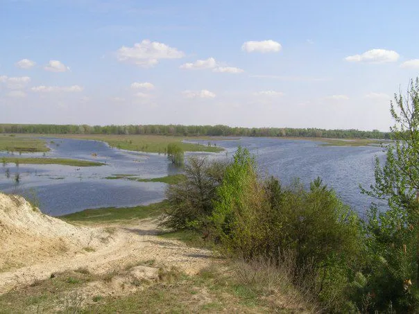 Міжрічинський регіональний ландшафтний парк