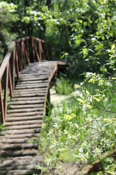 Міжрічинський регіональний ландшафтний парк