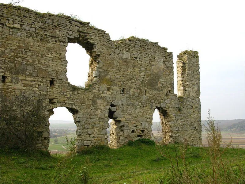 Чорнокозинецький замок, Чорнокозинці