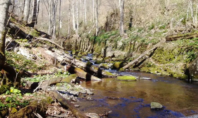 Blue Lake