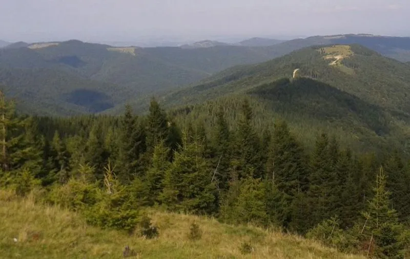Полонина Лазок