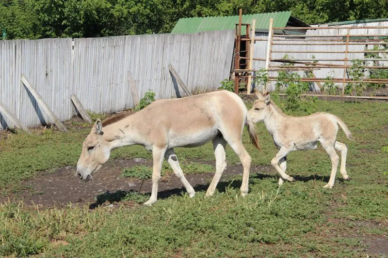 Вінницький зоопарк