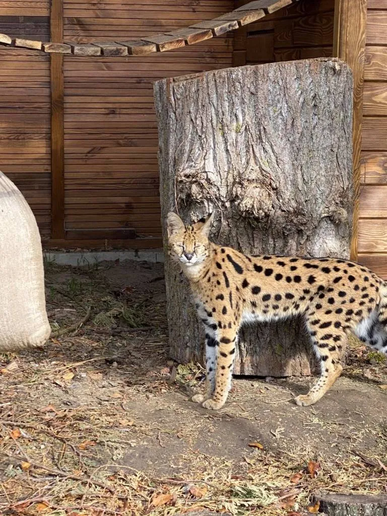 Луцький зоопарк