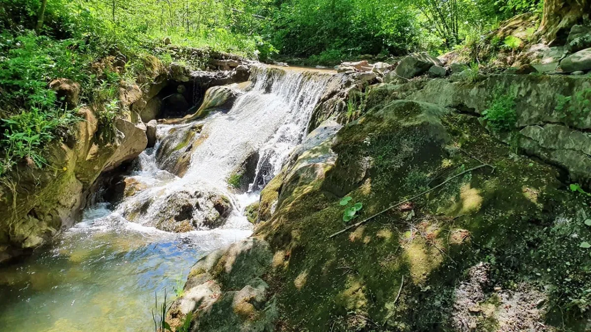 Ландшафтний заказник «Буковинські водоспади»