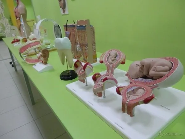 Museum of Interesting Science in Odesa