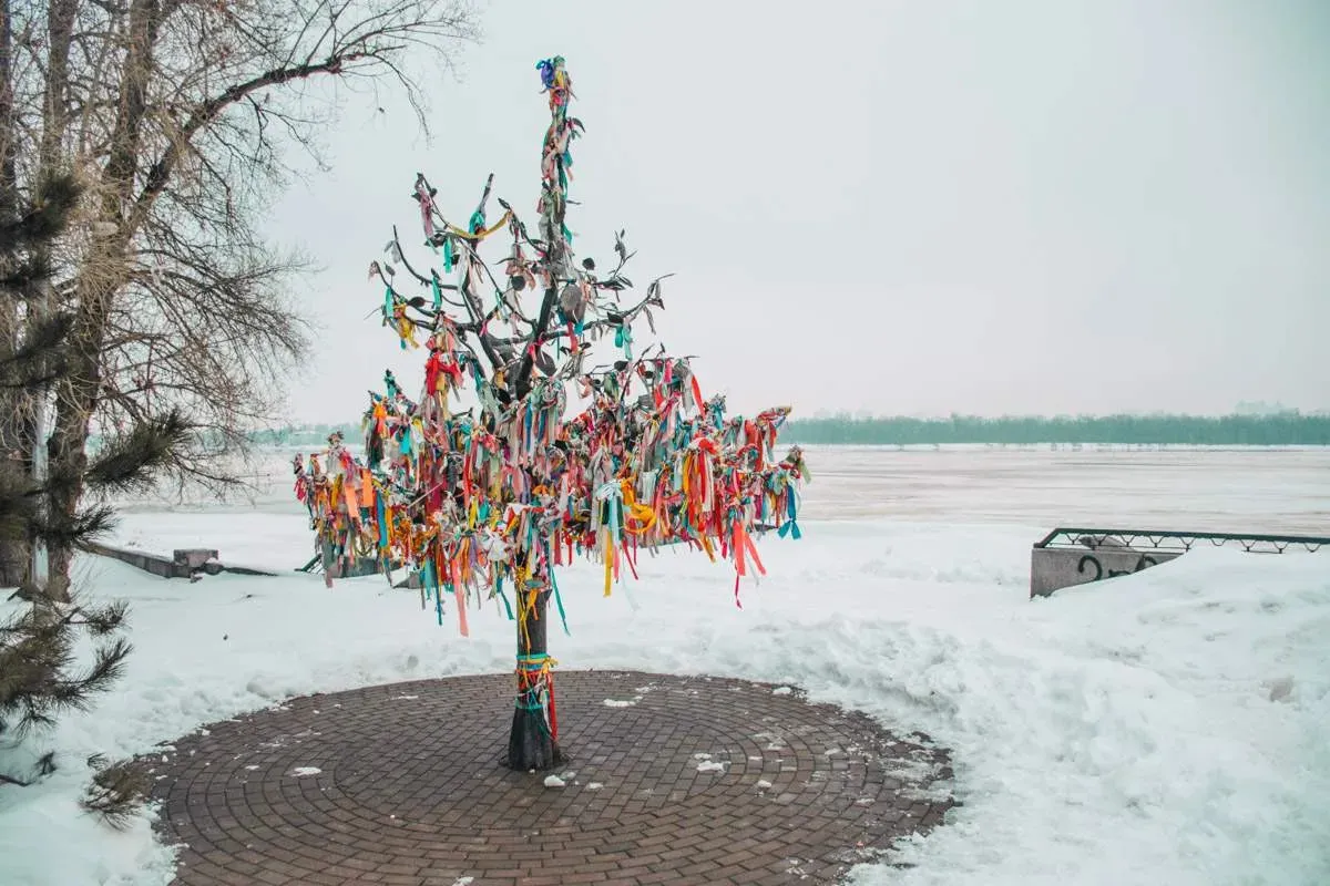 Дерево бажань, Київ