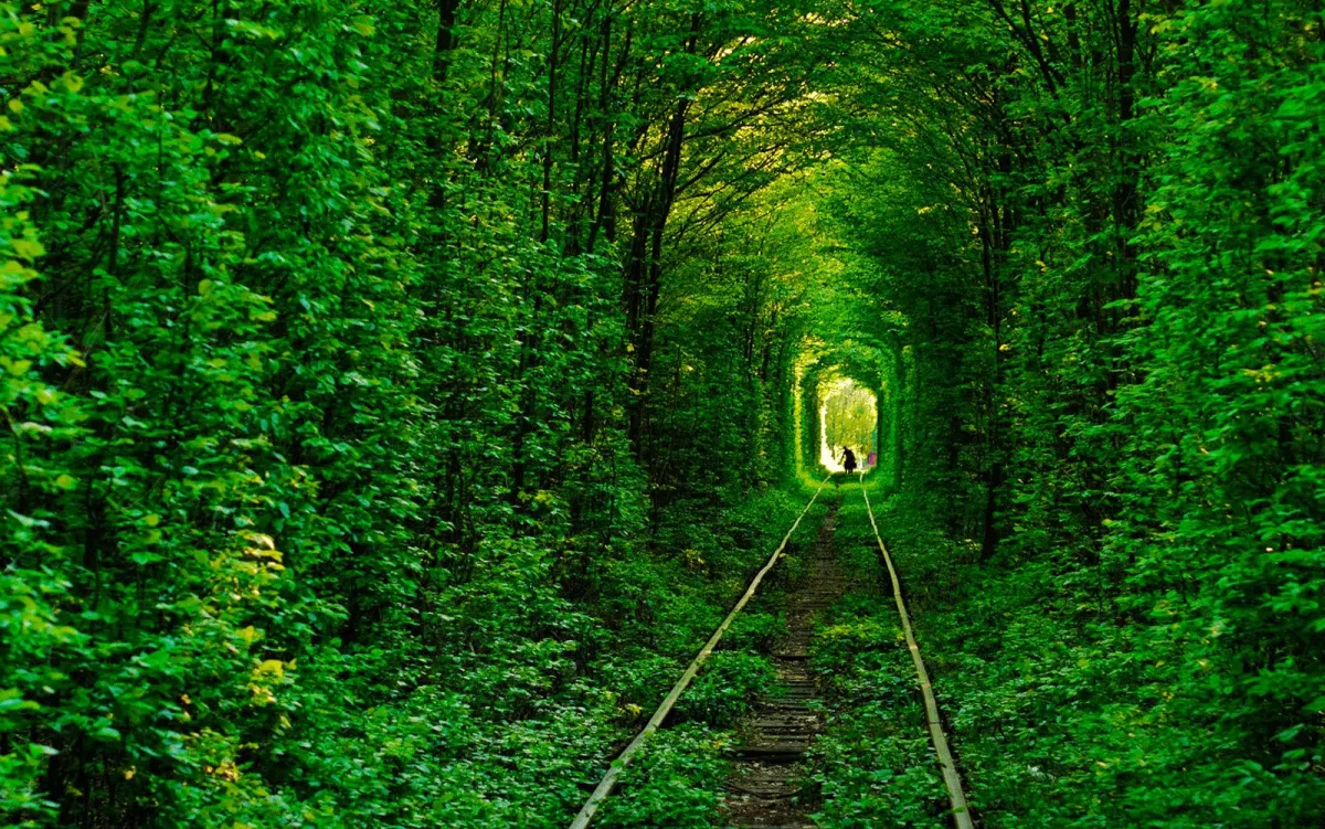Тунель кохання, Клевань