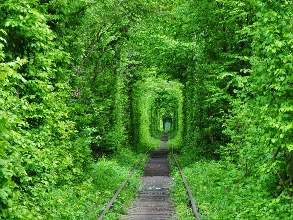 Тунель кохання, Клевань