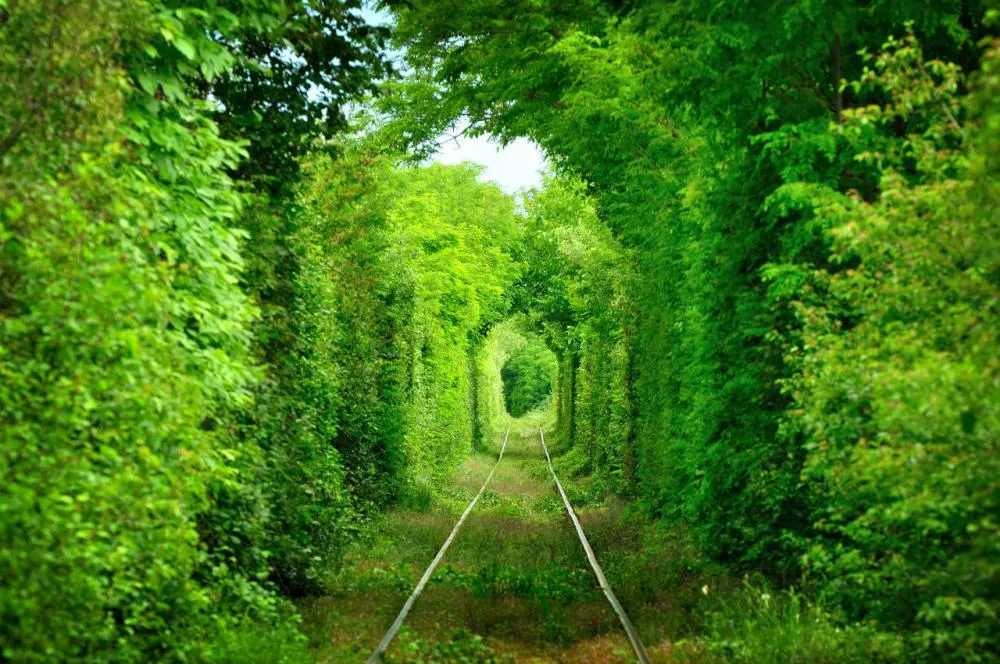Тунель кохання, Клевань