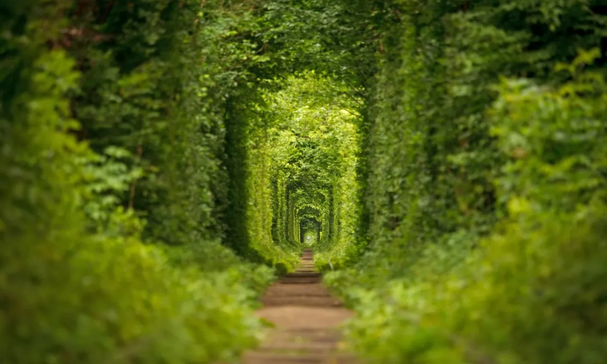 Тунель кохання, Клевань