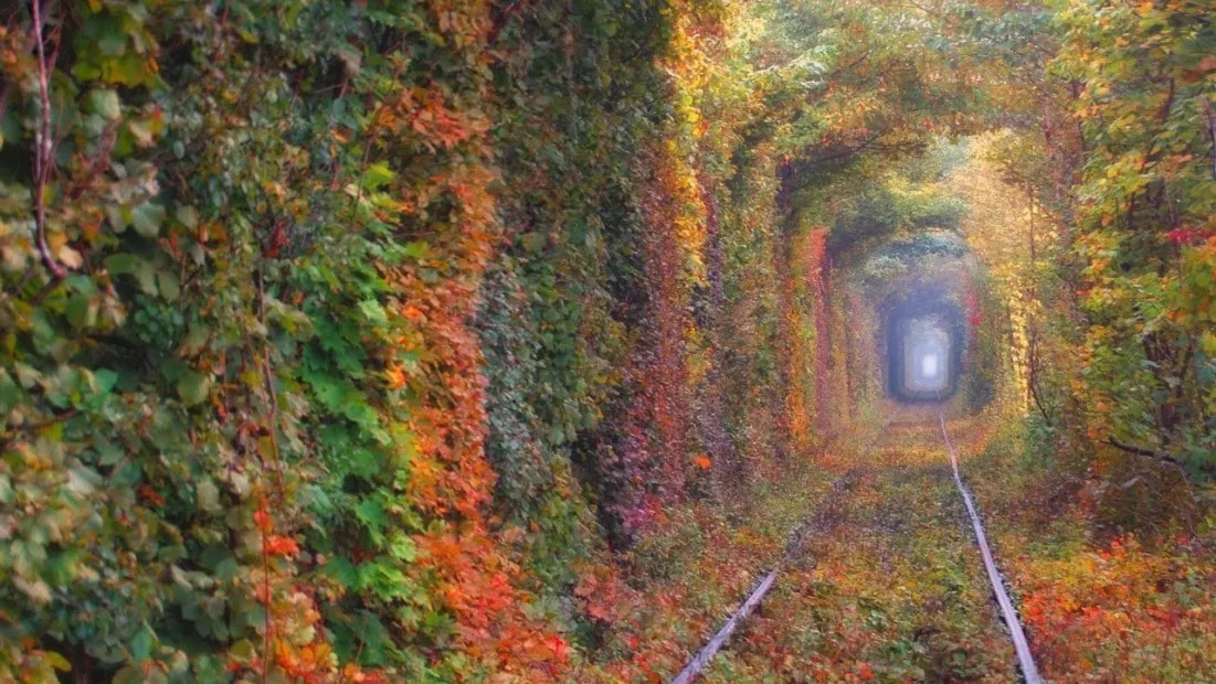 Тунель кохання, Клевань