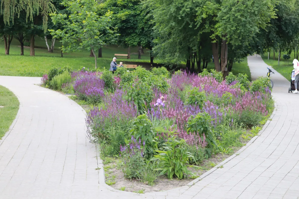 Парк на Грабнику