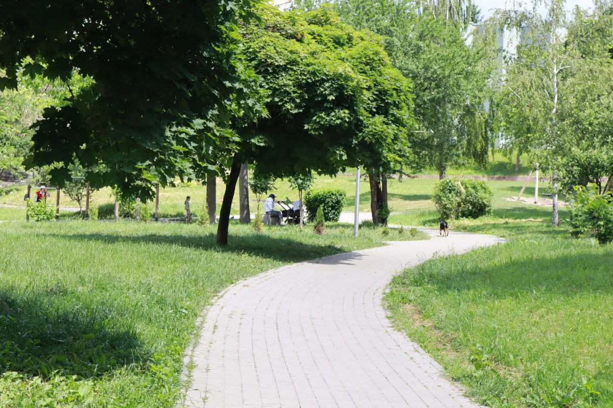 Парк на Грабнику