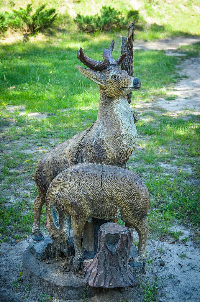 Костопільский музей лісу