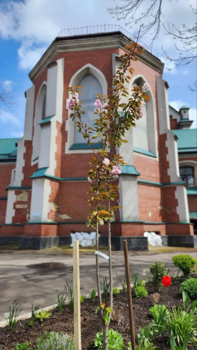 Готичний сад Органного Залу, Рівне