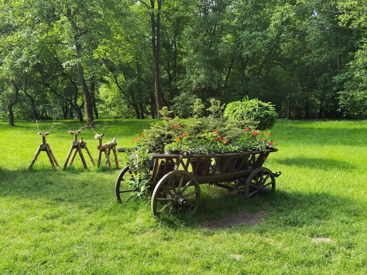 Рівненський зоопарк, Рівне