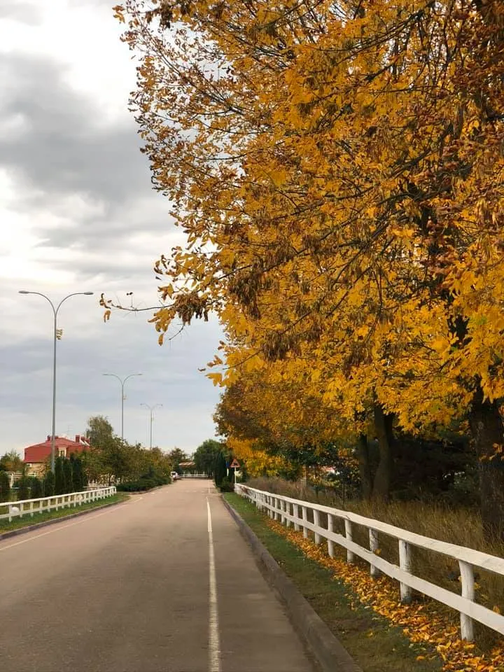В"їзд в Кінноспортивний клуб «Патріот»